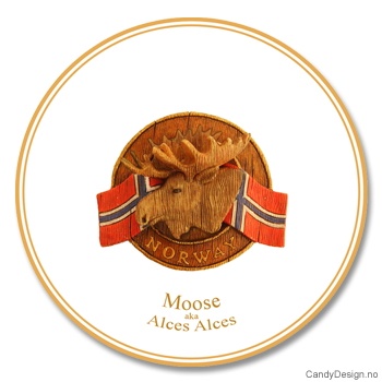 Woodstyle souvenir plate with Norwegian flag and viking head