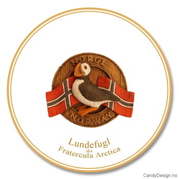 Woodstyle souvenir plate with Norwegian flag and viking head