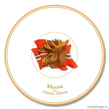 Woodstyle souvenir plate with Norwegian flag and viking head
