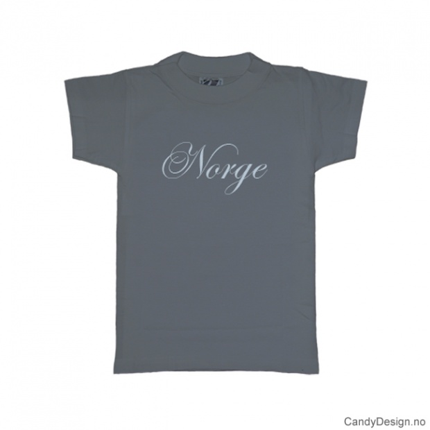 M - Men Classic T-shirt Norge greyblue w/light blue print