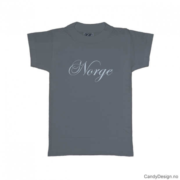 L - Ladies Classic T-shirt Norge greyblue with light blue print - L