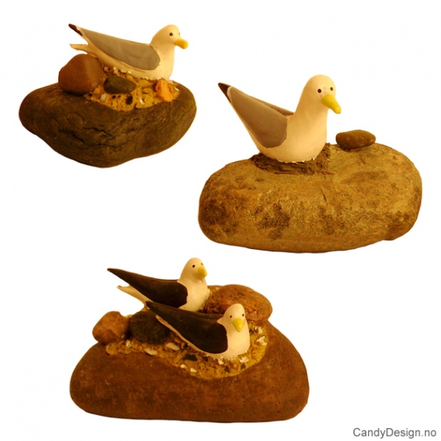 Seagulls on a rock