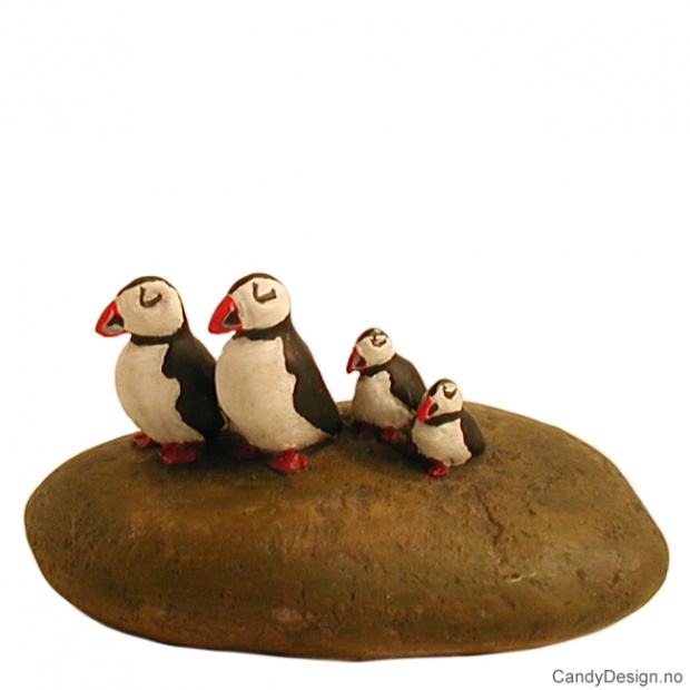 Puffin family on a rock