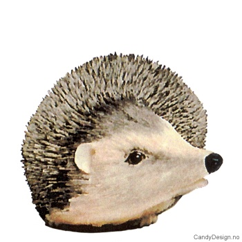Big hedgehog