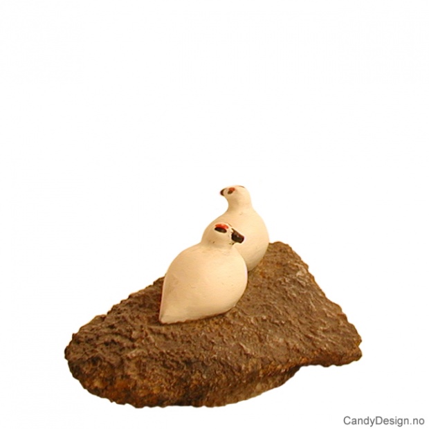 Small grouse on rock