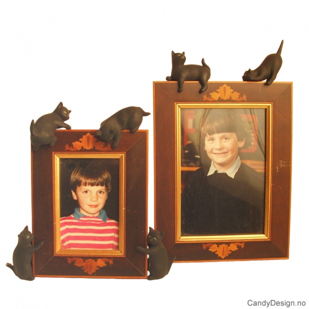 Cats for picture frames - only cats