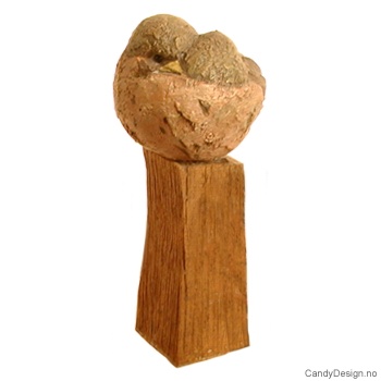 Fugler - Sammen for alltid