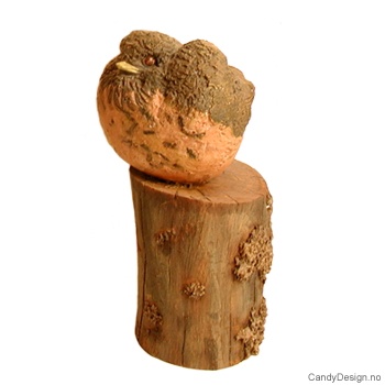 Fugler - Sammen for alltid