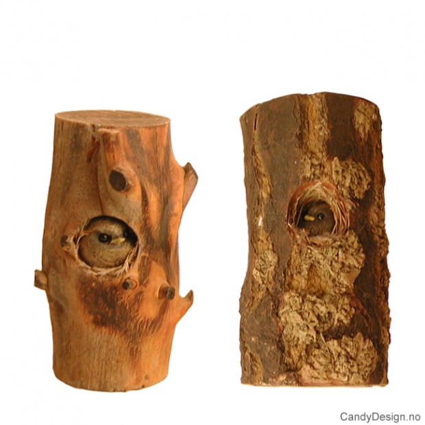 Fugler i trestamme assortert