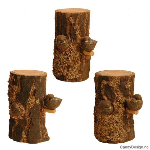 Birds in log assorted