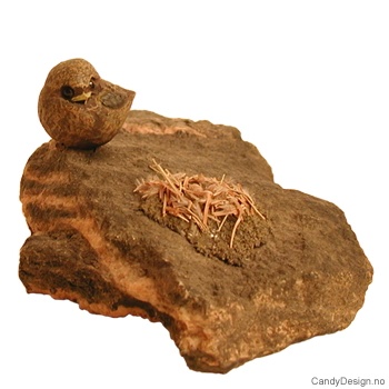 Small bird on rock with nest