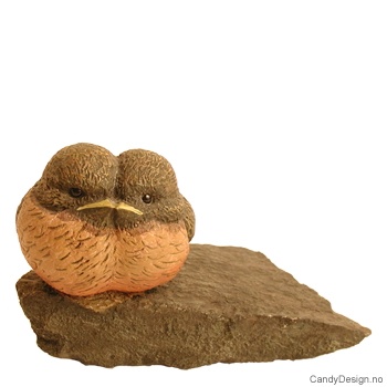 Two birds together on a rock