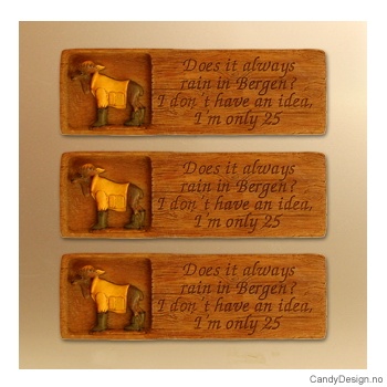 Magnet plaques with text woodstyle  Moose in raingear magnet Does it always rain in Bergen I don't have an idea, I'm only 25