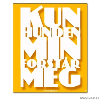 Kjøleskapsmagnet i gummi med visdomsord - Kun hunden min forstår meg