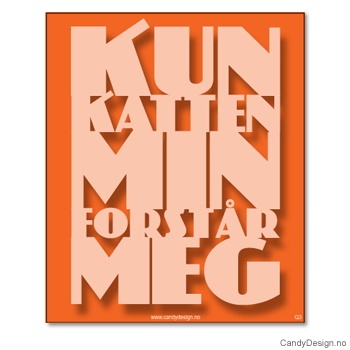 Kjøleskapsmagnet i gummi med visdomsord - Kun katten min forstår meg