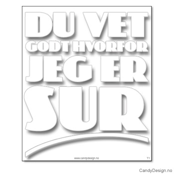 Kjøleskapsmagnet i gummi med visdomsord - Du vet godt hvorfor jeg er sur