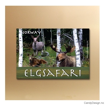 Elgsafari metal souvenir magnets