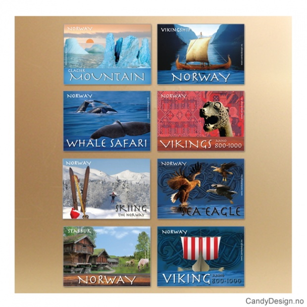 Assorted souvenir magnets with relief