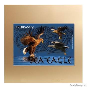 Eagels relief souvenir magnet
