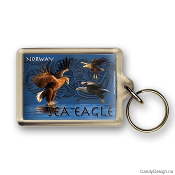 Eagle souvenir keychain