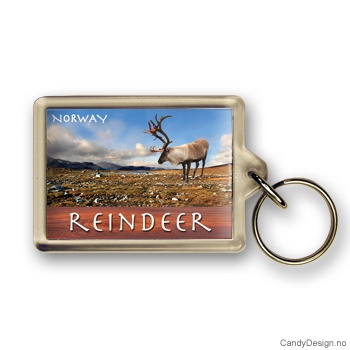 Reindeer suvenir nøkkelring