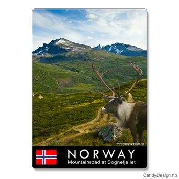 Metallmagneter med Norske naturbilder - Reinsdyr