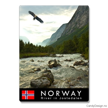 Metallmagneter med Norske naturbilder - Ørn over elv