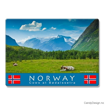 Metal magnets with Norwegin nature images  Cows in the Norwegian mountains